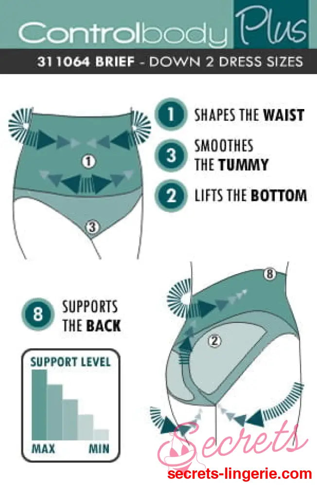 Control Body 311064 Shaping Brief Skin