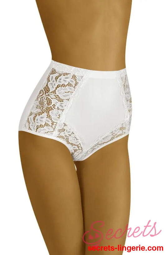 Embroidered Floral Lace High Waisted Briefs